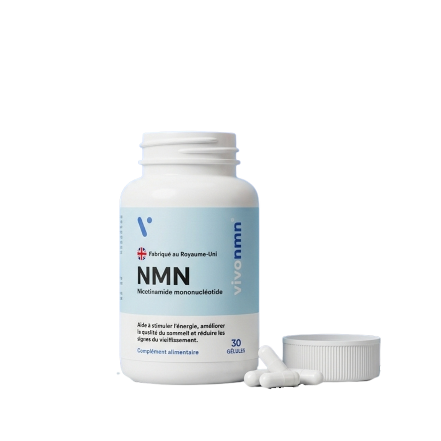 vivonmn